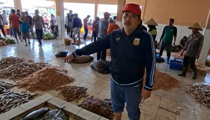 Melimpah Tapi Terancam Busuk, Dibalik Rekor Panen Udang Rebon 30 Ton Pangandaran